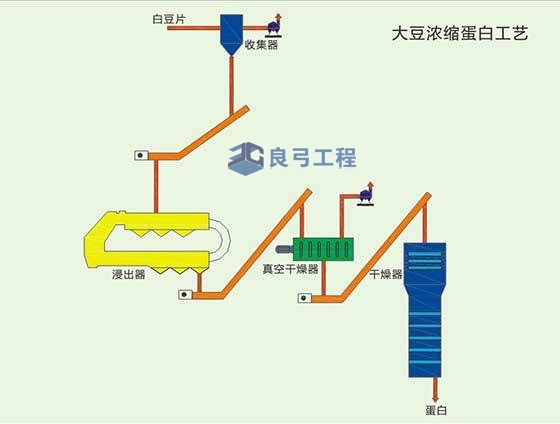 蛋白技术